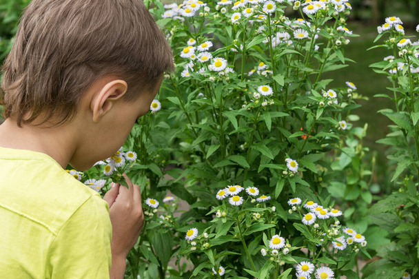 Το αγόρι μυρίζει μικρά άσπρα λουλούδια στο πράσινο καλοκαιρινό πάρκο. Ευτυχισμένο παιδί στις καλοκαιρινές διακοπές. Χωρίς αλλεργία στα φυτά. - Φωτογραφία, εικόνα