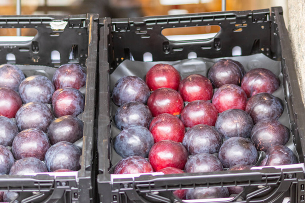 fresh plums in a basket on market - Foto, imagen
