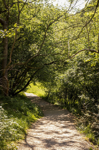 Un hermoso paisaje en un día soleado en una reserva natural en Inglaterra
 - Foto, Imagen