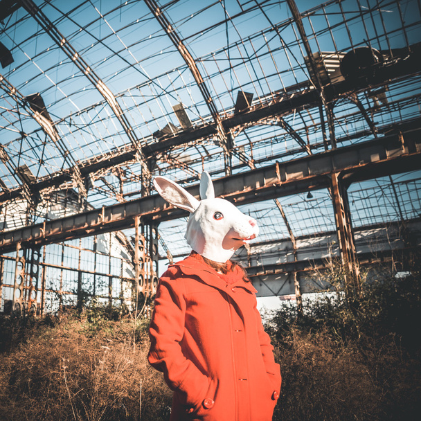rabbit mask woman red coat - Photo, Image