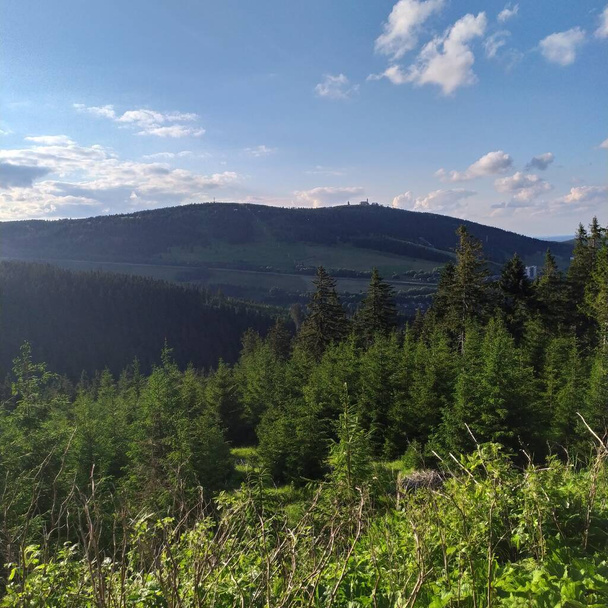 Ore mountains in summer landscape - Photo, Image