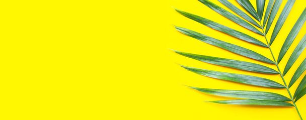 Tropical palm leaves on yellow background. Copy space - Photo, Image