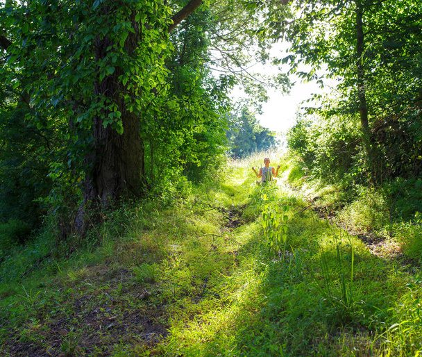女性は深い日差しの中で森の道に沿って一人で瞑想します。緑の木、草、葉を快適な自然背景にコピースペース. - 写真・画像