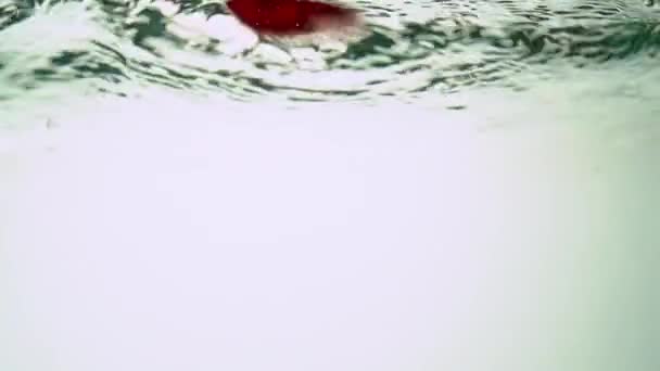 Ecological red pepper is immersed in water, creating a fluctuation of water and slowly rises. Close-up. - Video