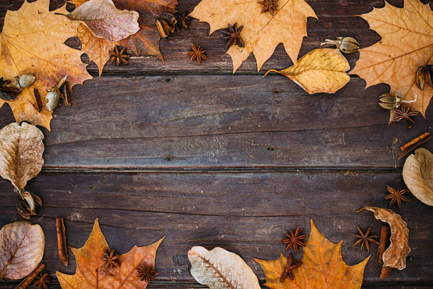 感謝祭の背景。コピースペース付き木の背景に秋の葉. - 写真・画像