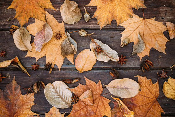 Thanksgiving achtergrond. Herfst bladeren op houten achtergrond met kopieerruimte. - Foto, afbeelding
