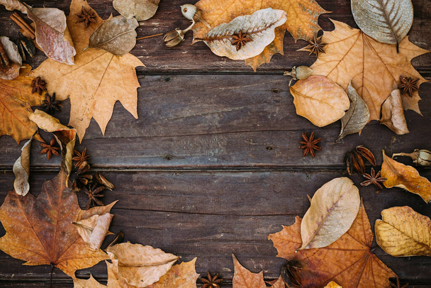 Thanksgiving achtergrond. Herfst bladeren op houten achtergrond met kopieerruimte. - Foto, afbeelding