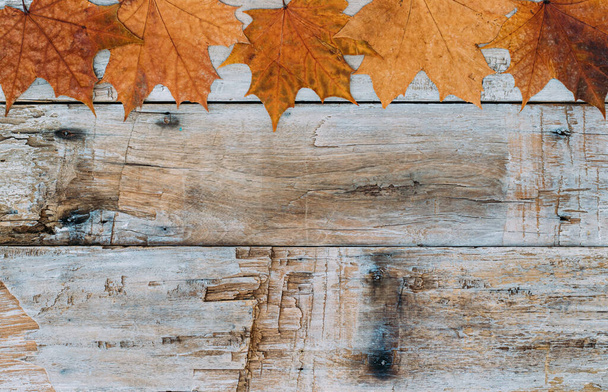 Antecedentes de Acção de Graças. Folhas de outono em fundo de madeira com espaço de cópia. - Foto, Imagem