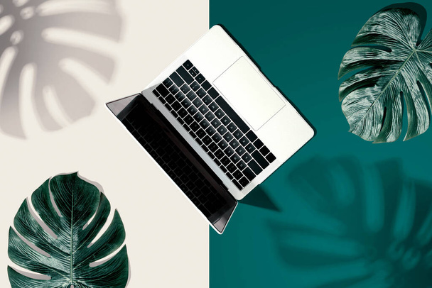 Laptop computer with tropical leaves - Foto, Bild