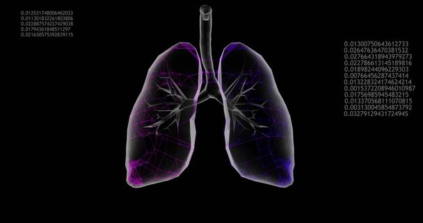 Rotating 360 low polygonal lungs 3D model on black background with animated increasing numbers and diagrams. 3D illustration - Photo, Image