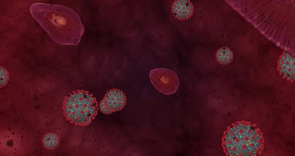 Concentración alta Enfermedad por Coronavirus Covid-19. Grupo de animación de virus y glóbulos rojos se cierran bajo el microscopio. Representación 3D Ilustración 3D - Foto, imagen