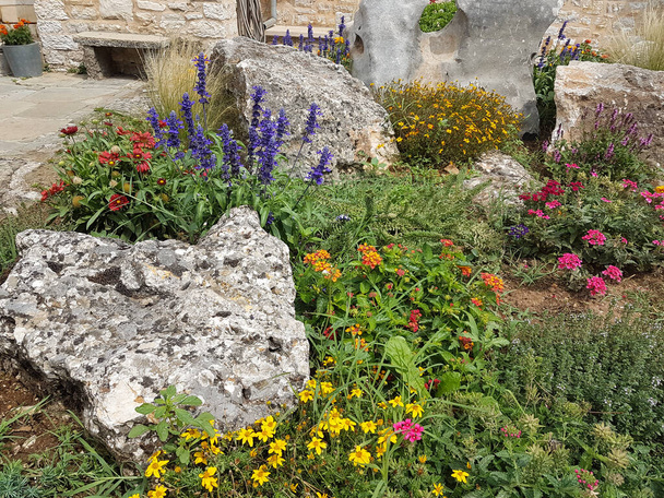 garnden tahdonvoimalla kukkia suunniteltu kotiin kiviä kuten luonnollisessa ympäristössä - Valokuva, kuva