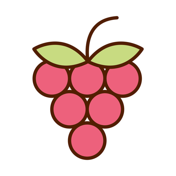 zdrowej żywności świeże owoce produkt linia winogron i wypełnić ikonę stylu - Wektor, obraz