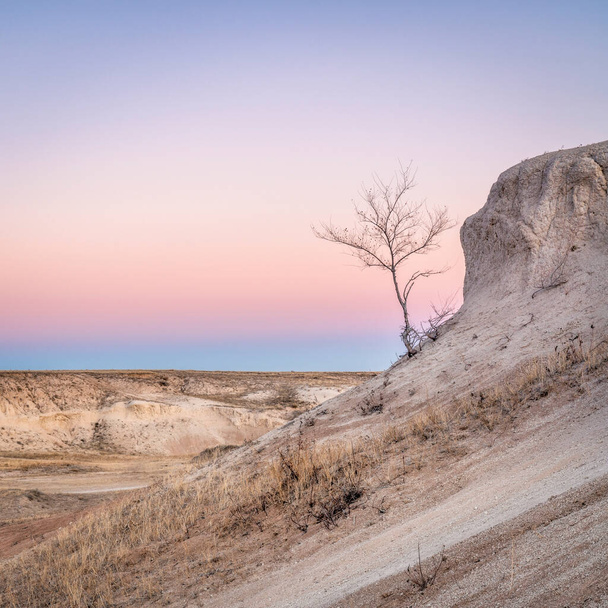 Winter dusk over prairie and badlands in Pawnee National Grassland with a lonely tree - Foto, afbeelding