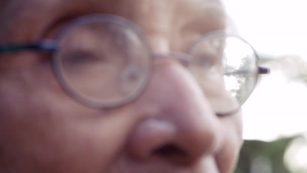 Primo piano degli occhi di un uomo anziano che indossa gli occhiali seduto vuoto in un giardino soleggiato con uno sfondo bokeh naturale. focus selettivo. - Filmati, video