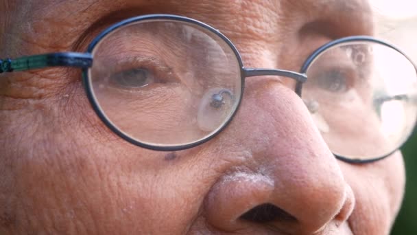 Close-up van de ogen van een oudere man die een bril draagt die leeg in een zonnige tuin met een natuurlijke bokeh achtergrond zit. selectieve focus. - Video