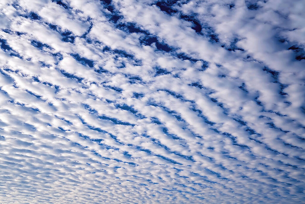 Σειρές χνουδωτών λευκών νεφών επαναλαμβάνονται σε ένα μοτίβο στον γαλάζιο ουρανό - Φωτογραφία, εικόνα