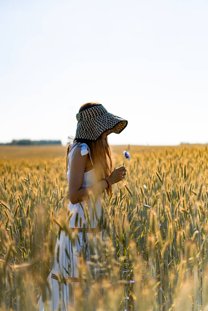 young beautiful woman with long hair in a white dress and hat among the yellow field of rye and wheat. - 写真・画像