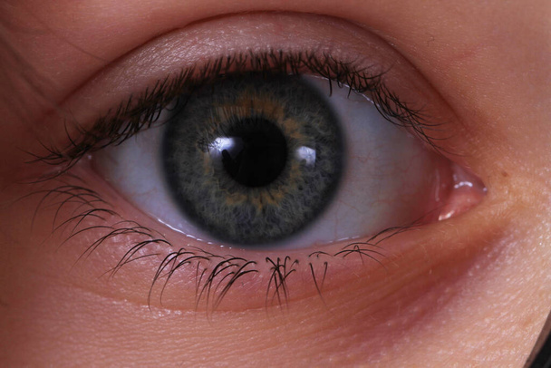 detail lidského oka jako velmi pěkné zázemí - Fotografie, Obrázek