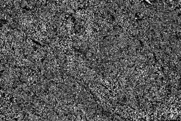 Abstract black and white textured background. Monochrome texture.  - Фото, зображення