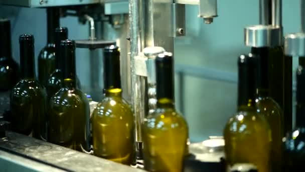 Förderband mit Weinflaschen in der Weinfabrik, Weißweinabfüllung - Filmmaterial, Video