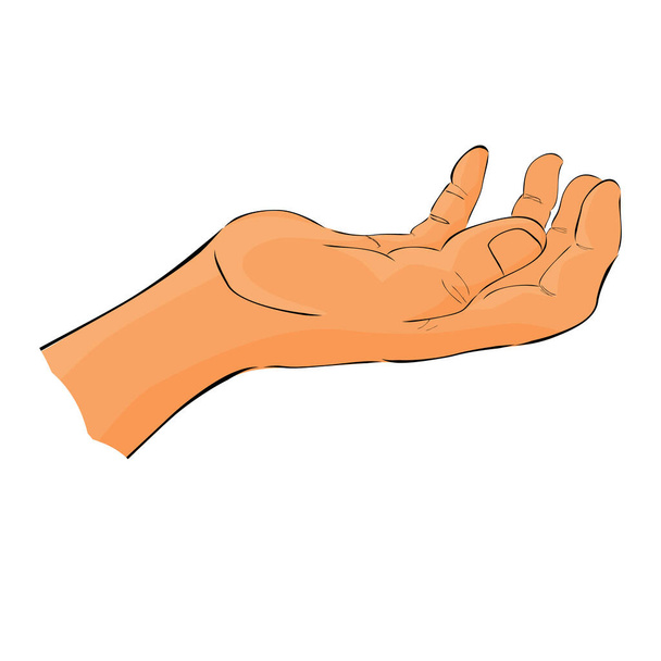 Desenho de mão Desenho 6 Gesto Mão Segurando, Escolhendo / Tomando ou Recebendo Algo para o seu design de elemento
 - Vetor, Imagem