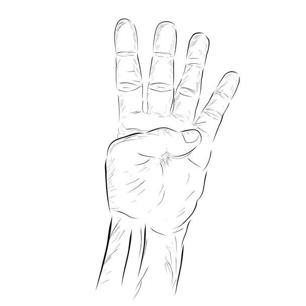 Contar la mano, o votar, cinco, aislado en blanco
 - Vector, Imagen