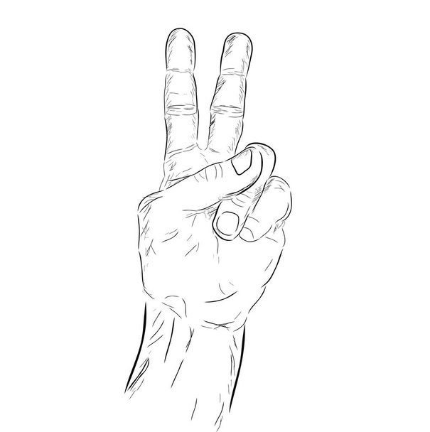 Counting Hand, neboli Hlas, Pět, izolovaný na bílém - Vektor, obrázek