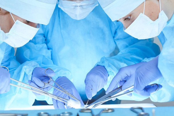 Close-up of medical team performing operation. Group of surgeons at work are busy of patient. Medicine, veterinary or healthcare and emergency in hospital - Photo, Image