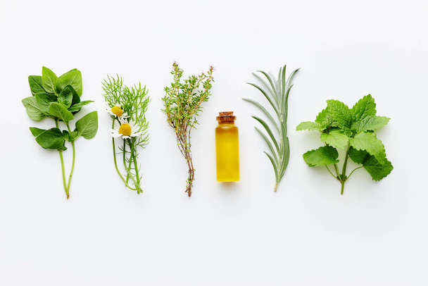 Bottle of essential oil with herbs arranged on white background - Foto, immagini