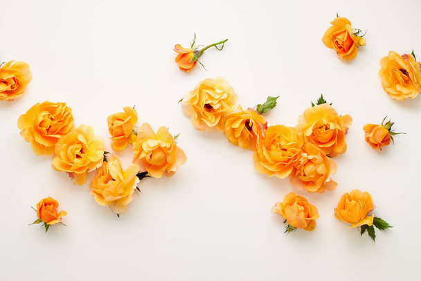 Various yellow roses scattered on a white background, overhead view. Flat lay. - Foto, Imagen