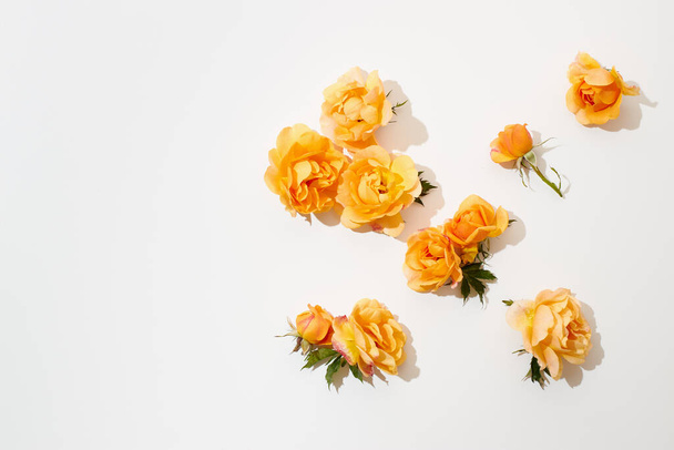 Various yellow roses scattered on a white background, overhead view. Flat lay. - Fotoğraf, Görsel