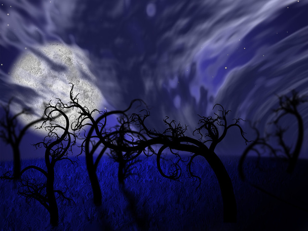 illustratie van nacht bos met volle maan - Foto, afbeelding