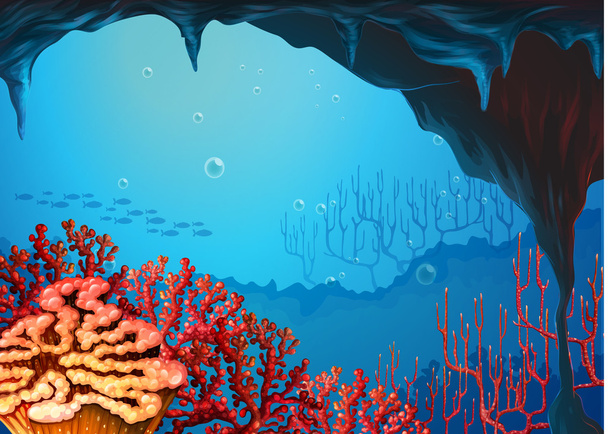 Näkymä koralliriutalle
 - Vektori, kuva