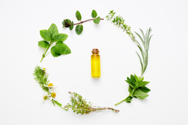 Bottle of essential oil with herbs arranged on white background - Fotó, kép
