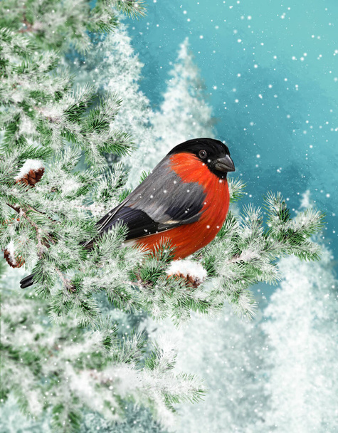 Winter Christmas background, red bullfinch bird sits on snowy branches of spruce, evening, blizzard, snow flies. - Foto, immagini