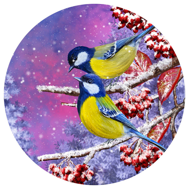 Christmas winter background, a small bird tit sits on a snowy branch, berries, foliage, sunset, blizzard, round form - Photo, Image