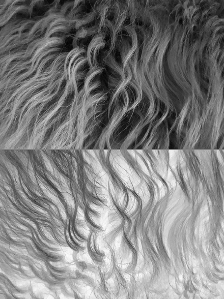 Grautöne der Haare verwandelt in viele verschiedene einzigartige Formen Muster und Designs - Foto, Bild