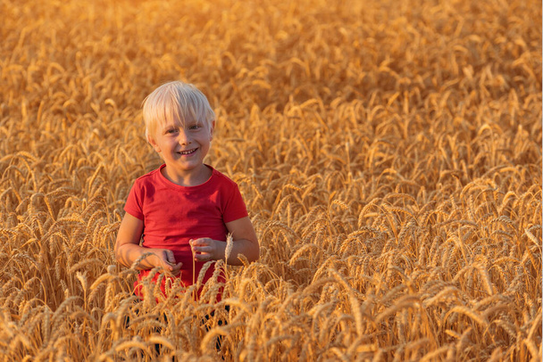 Niño rubio parado en el campo de trigo maduro y sonriente. fin de semana rural
. - Foto, Imagen