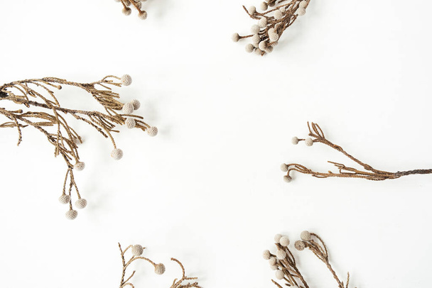 Cadre avec espace de copie vierge fait de belles branches de plantes sèches sur fond blanc. Flatlay, vue de dessus. - Photo, image