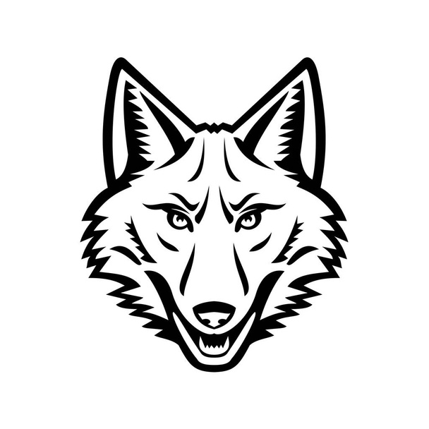 Zwart-witte mascotte illustratie van het hoofd van een coyote of Canis latrans, een hond afkomstig uit Noord-Amerika gezien vanaf de voorkant op geïsoleerde achtergrond in retro stijl. - Vector, afbeelding