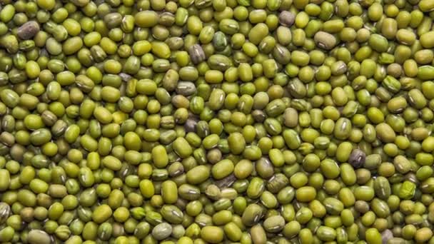 Green mung beans top view, rotation - Footage, Video