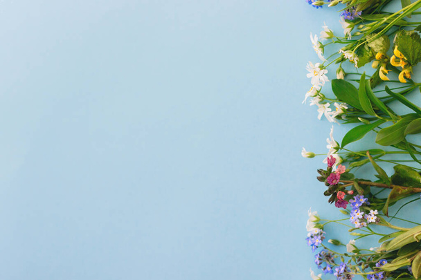 Wildflowers πολύχρωμα σύνορα σε μπλε φόντο χαρτί, επίπεδη θέσει με χώρο για κείμενο. Ανθισμένα ανοιξιάτικα λουλούδια, floral ευχετήριες κάρτες. Καλή ιδέα για την Ημέρα της Μητέρας. Γεια σου άνοιξη - Φωτογραφία, εικόνα