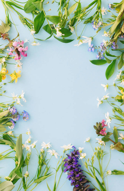 春の野花の花のフレームは、テキストのためのスペースと青い紙の背景に横たわっています。グリーティングカードのテンプレート。色とりどりの花を咲かせます。ハッピーイースター。母の日のコンセプト。こんにちは春 - 写真・画像