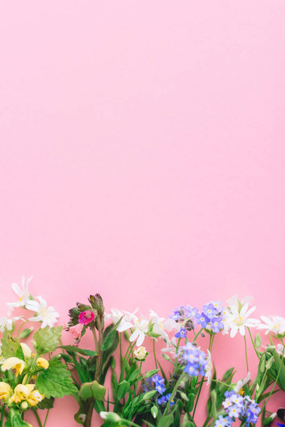 Kwiaciarnia płaska z kolorowymi wiosennymi dzikimi kwiatami na różowym papierowym tle, miejsce na tekst. Szablon kartki okolicznościowej. Szczęśliwego Dnia Matki. Witam wiosnę. Kwitnące wiosenne kwiaty granica - Zdjęcie, obraz