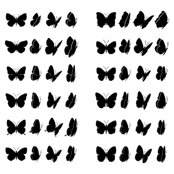 Butterfly collection - Vector, Image