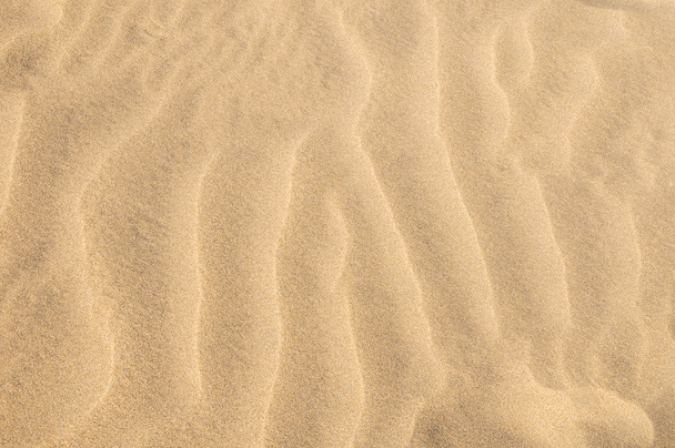 砂丘砂漠テクスチャ - 写真・画像