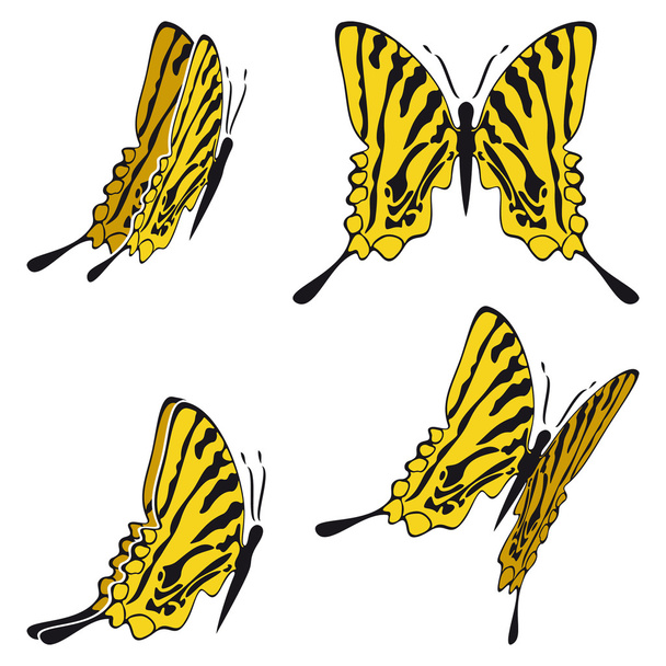 Motýl - Vektor, obrázek