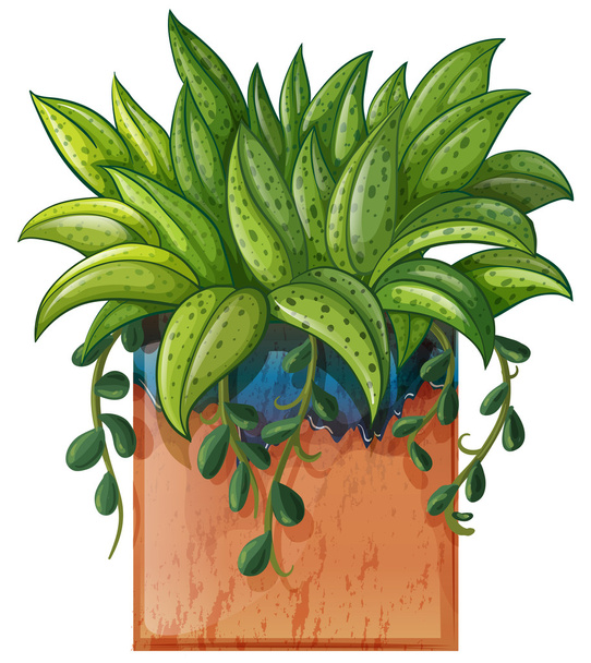 Растение в горшке
 - Вектор,изображение