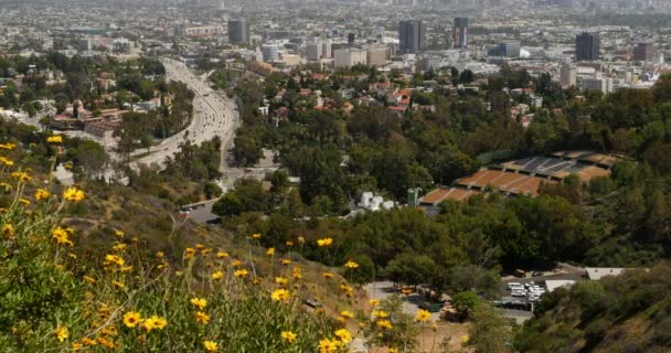 Hollywood Bowl Overlook Dolly Shot Los Angeles California USA - Imágenes, Vídeo